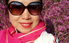 流浪者小岛小刀